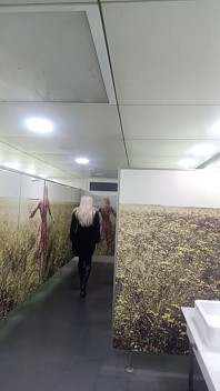 Video_20250124_063800.