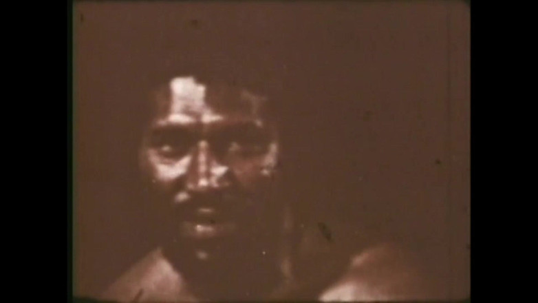 The Unforgettable: The Wild Colt