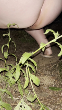 Pissing in the Garden