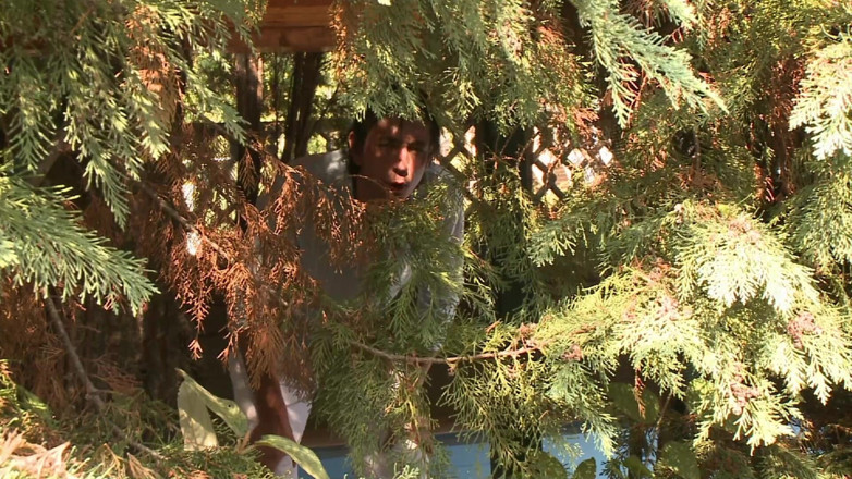 German Full Movies: Jantan berotot mengongkek si jalang blonde dengan pantat gelembung dalam...