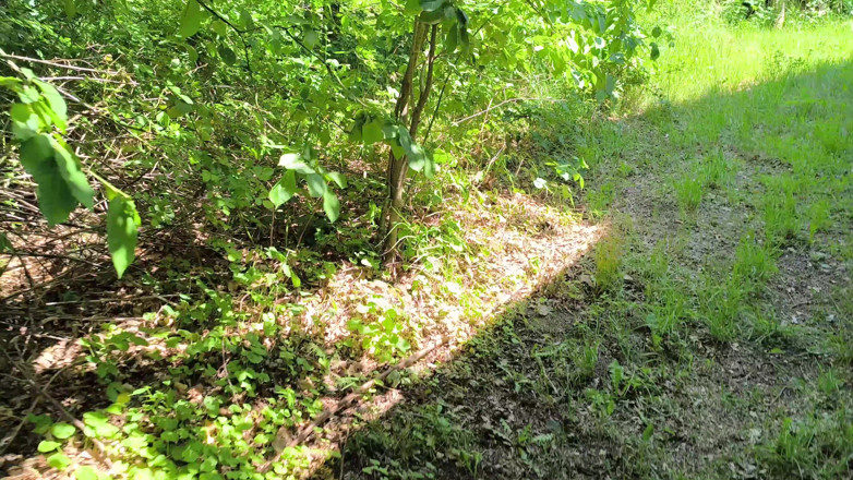 Bouncy Tits Action: Trening dla rekordu świata w pochwy nr 1 - część 7