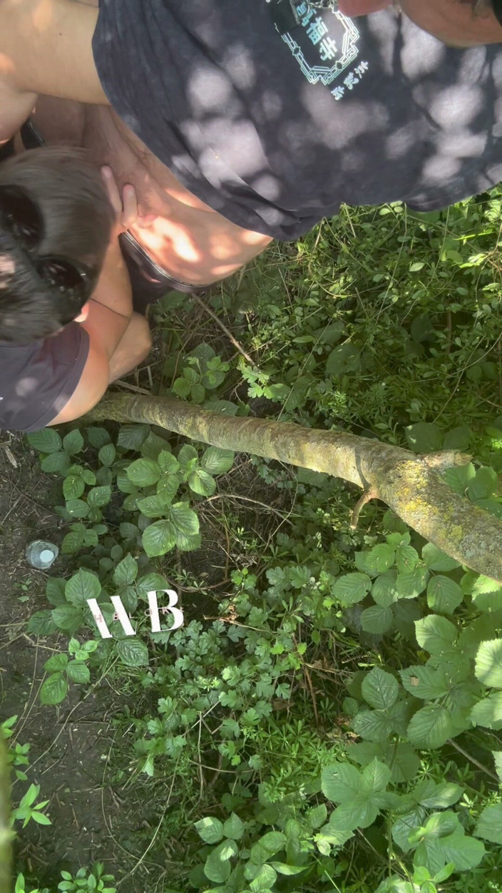 welsh_blokexxx: Obszar Cruisng BJ w lesie