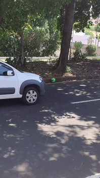 Adik-beradik bersedia untuk permainan?kata kakak tiri anda, anda akan memukul keras untuk menjaringkan bola, menangkap kereta di dalam kereta