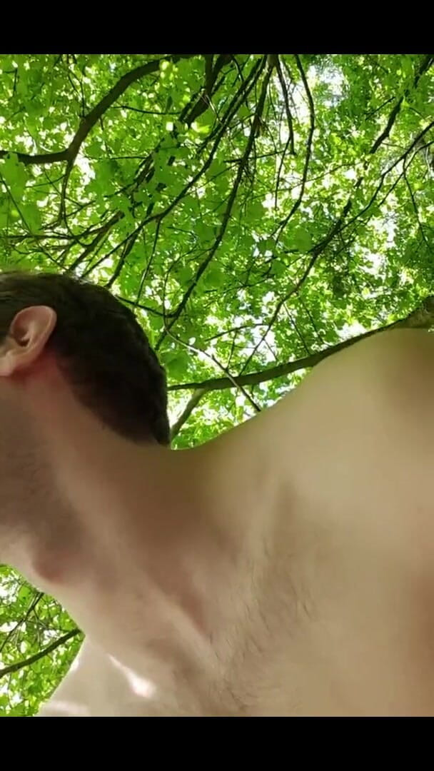 Puppy Davey: Oyun Zamanı