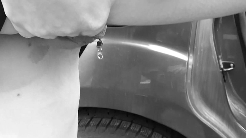 Popp Sylvie: Sylvies Doppel - Am Parkplatz Und Am Fenster