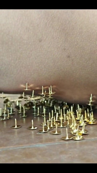 A New and Exciting Experience