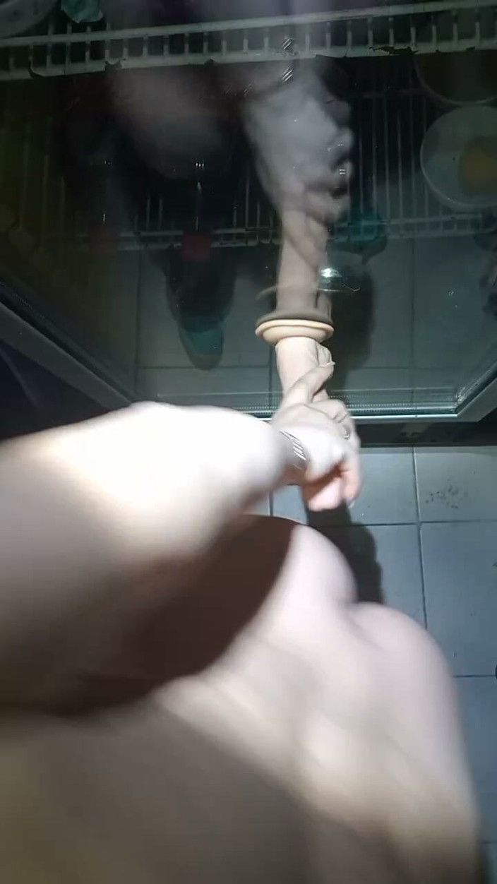 Nadin: Suction-cup Dildo on the Refrigerator