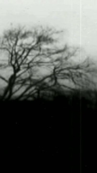 Lydia Privat