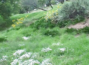 Cock Fest: ゴミの売春婦はdpedを得るのが大好き