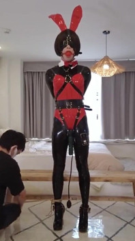 Mz13 - 입술을 핥는 토끼 소녀