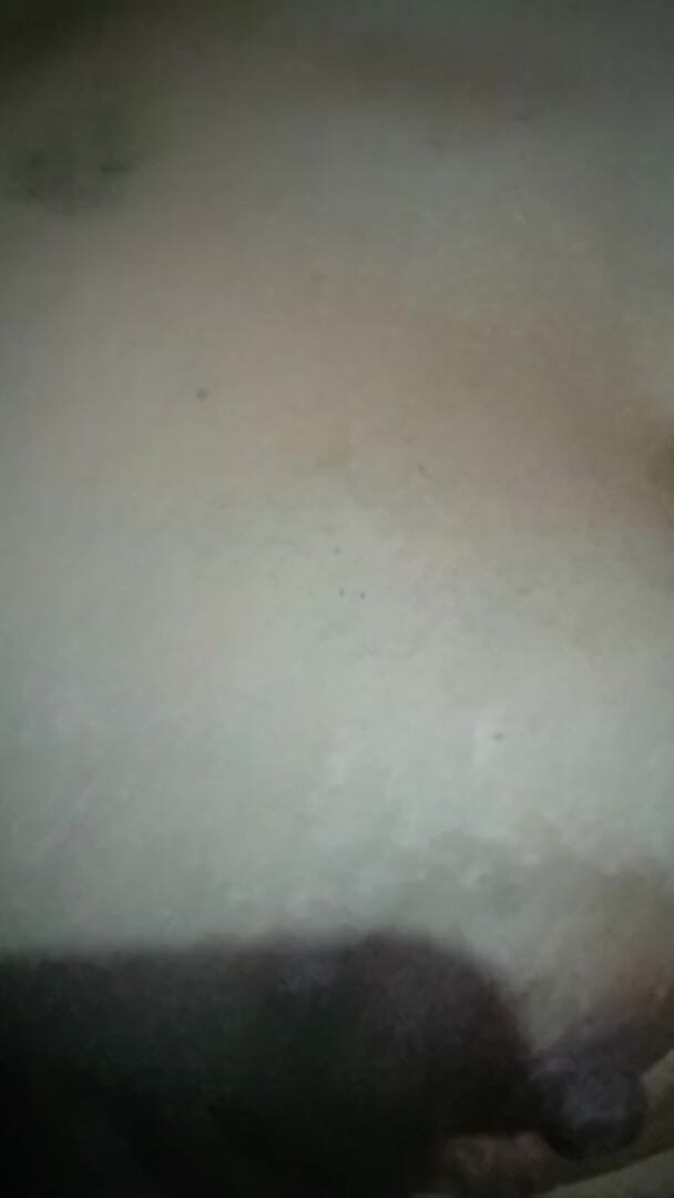 Lovelypaz: Seksi esmer hatun güzel göğüsleriyle oynamayı seviyor