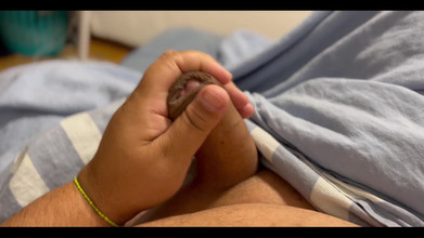 Ksanchez1203: 3081553