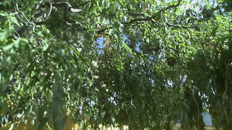 Horny girls want to fuck: 거실에서 따먹히는 핫한 금발 이웃