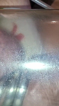 極端なセックスを見る奇妙なもの