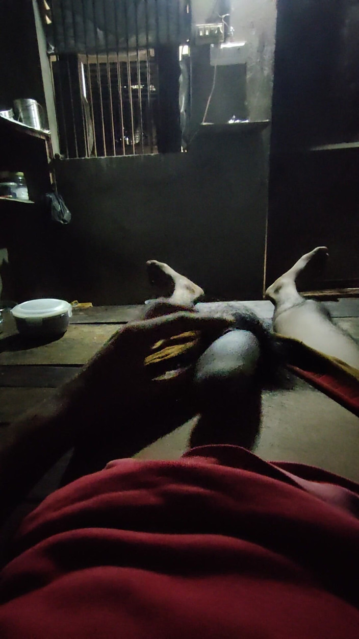 Gigolo Tv: Uklidněte mé teplo