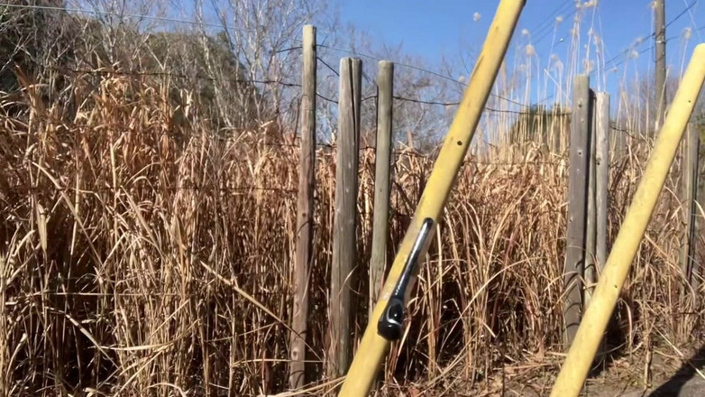 megu2002: Колекція експозиції Outdoor Pee and Tuck Independent Training No97