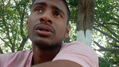 LinearOrnament35: Talande video