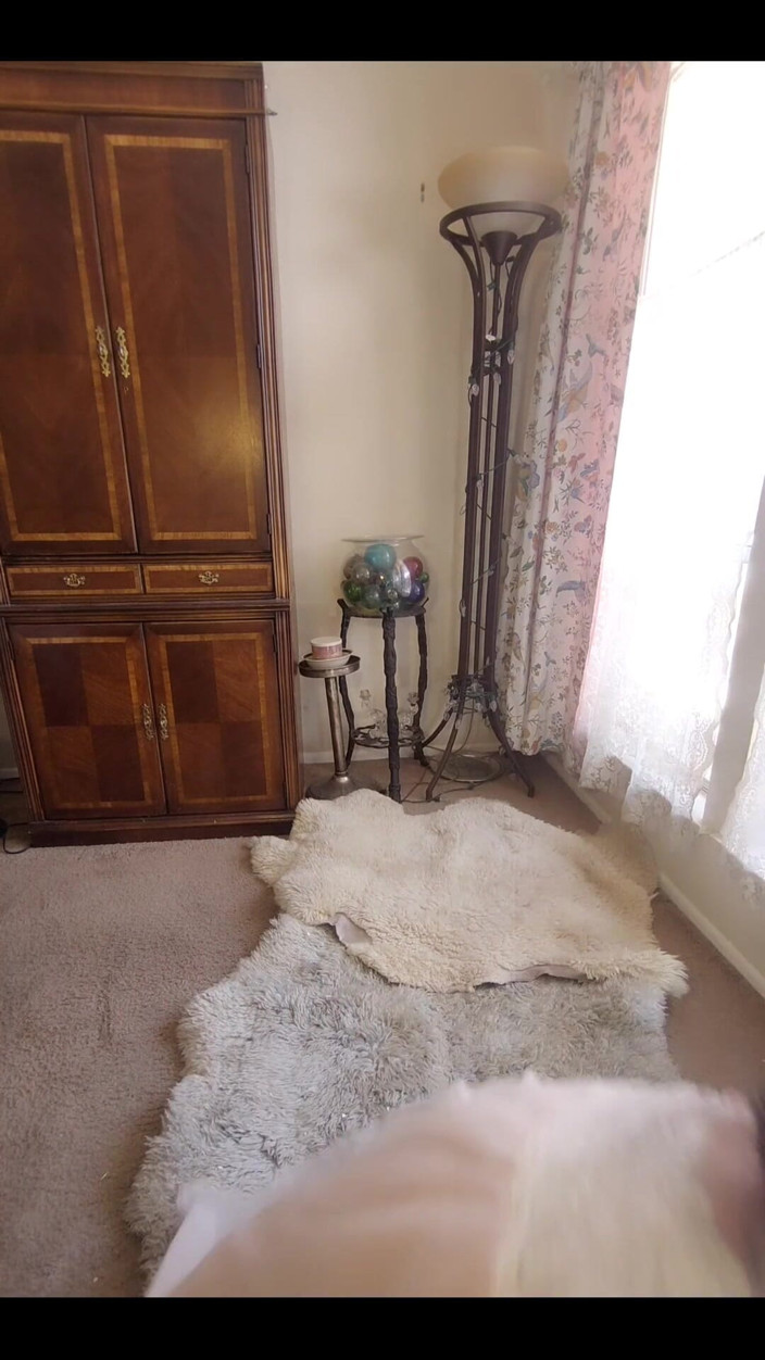 Zilah Luz: Indosso di nuovo il mio vestito da notte nonna trasparente....