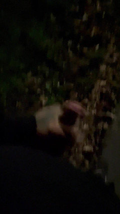 LexxyRoyal: Oudoor Riskantní zábava