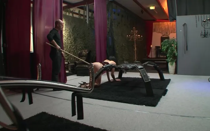 Absolute BDSM: BDSM - Public Humiliation for Anal-gagged Slave Girl