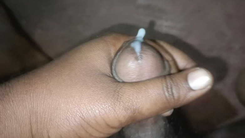 LegalVector8: Indisch heet