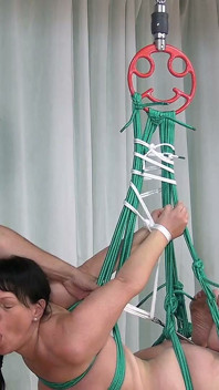 フェラチオとセックスのための停職