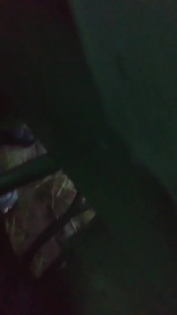 Público Arado Por Trator Em Campo