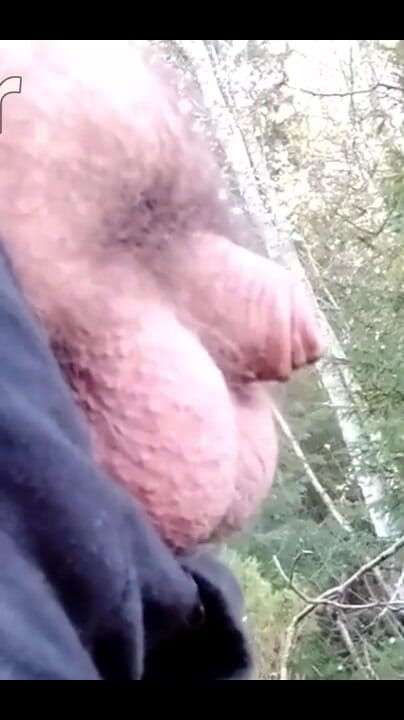 484118313627033600.mp4 (Bigpisser)