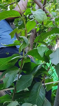 Three College Boys Enjoy Sex in the Woods Behind the House