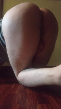 My Ass