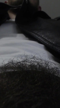 Alpha Superiority Pubic Hair