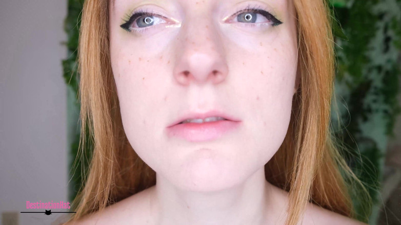 Destination Kat: 一个交易所