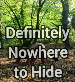 MaleModel: Cur în pădurea publică