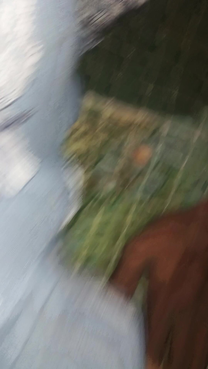 Gjkbbbm: Дези пара