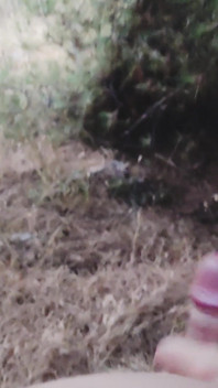 Bardzo ryzykowne ruchanie w lesie z uroczym widokiem na morze