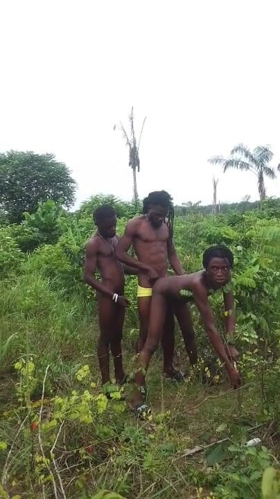 Porchey: Threesome Dealing in the Bush