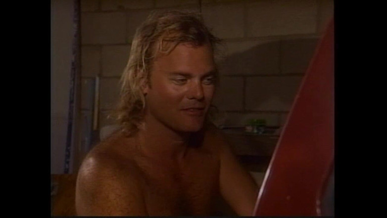 Vintage megastore: The Fabro