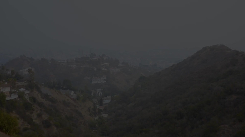 Vixen: Vixen, blonde studentin ist neu in der stadt und will...