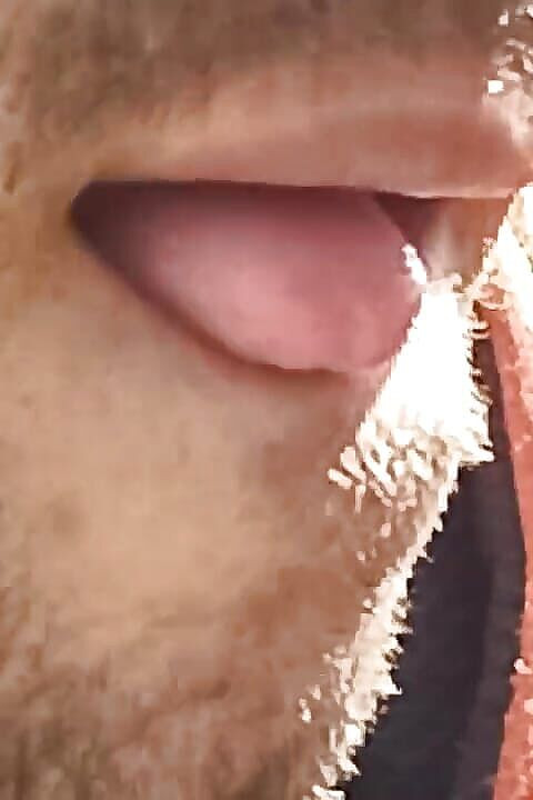 Gangbang straight: 嘴巴和唾液恋物癖 2