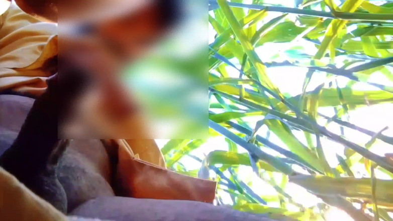 Abida sexy: Desi Couple
