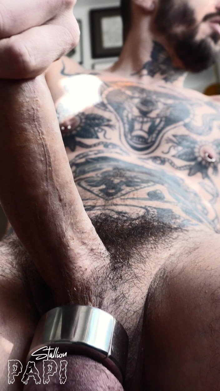 Stallion papi: Melancap