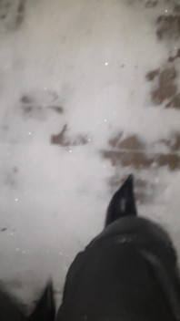 Pointy Boots in Snow