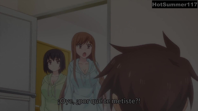 HotSummer117: Ik raad 3 ecchi- en harem-animes aan