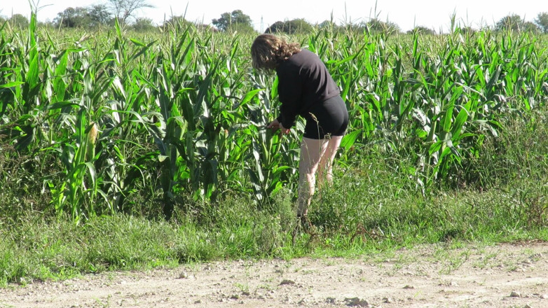 Milfcamsex: Patricia in Corn Field
