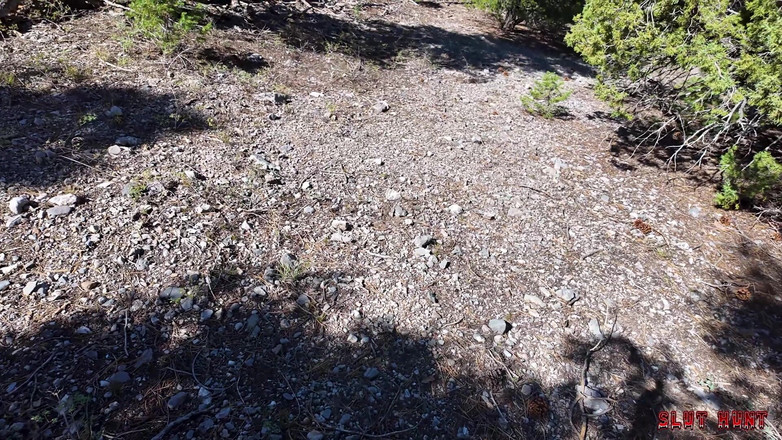 Nasty sluts studios: Sürtük avı ep.5: pixie cezalandırılıyor