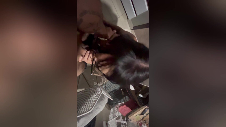 Fred_Nunexx: Meu Deus! Eu Achei Que Ela Era Minha Esposa, Mas...