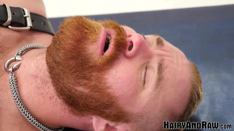 Hairy And Raw: Hairyandraw vousatý Zack Ackland bez sedla medvědem Silienem