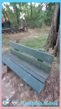 Travesti hace garganta profunda y toma preñada a pelo al aire libre