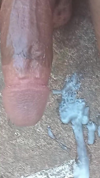 Busting a Nut Out at the Park
