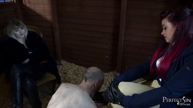 Perfect Sin Network: 让我们知道你很抱歉